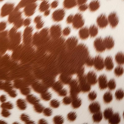 Imagen PNG para descargar